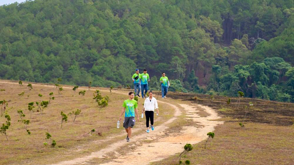 Giải chạy bộ băng rừng Tà Năng Mini Trail năm 2024