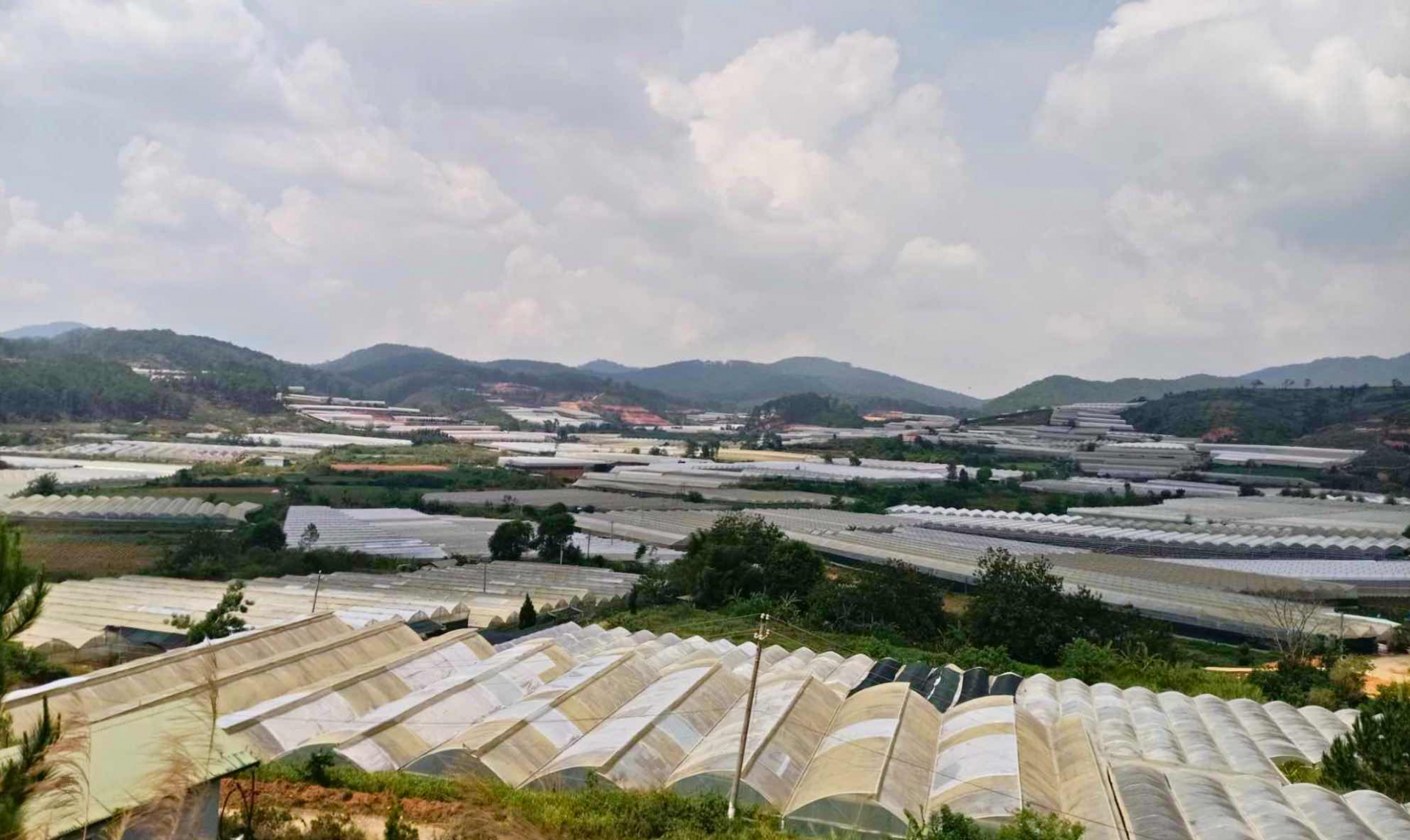Lạc Dương sẽ khởi kiện 3 doanh nghiệp để thu hồi 9 tỷ đồng tiền thuê đất