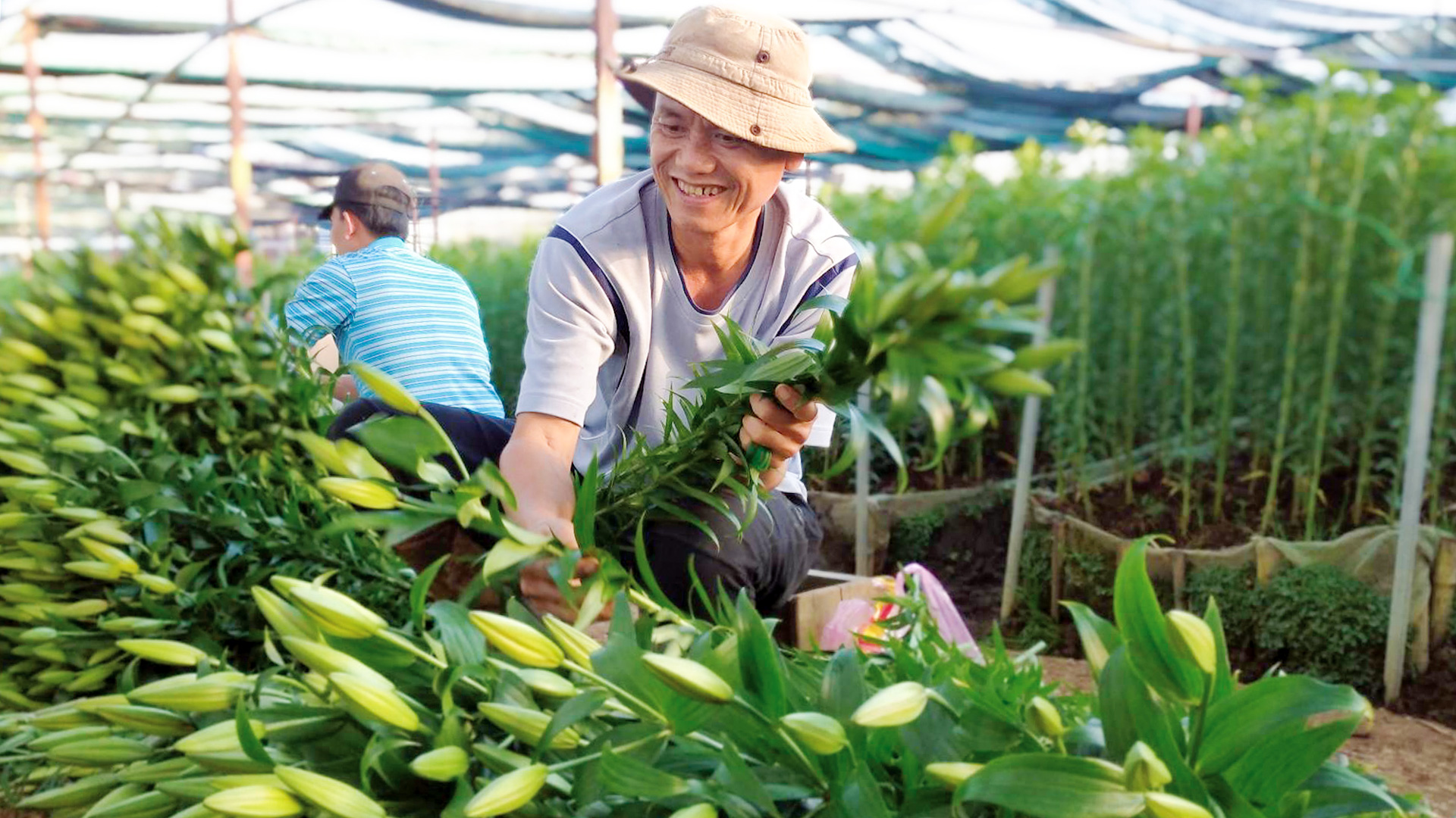 TÁC PHẨM DỰ THI VIẾT VỀ XÂY DỰNG NÔNG THÔN MỚI: Thế hệ nông dân thời đại mới: Xứng đáng là “chủ thể” của nông thôn mới (Bài 1)
