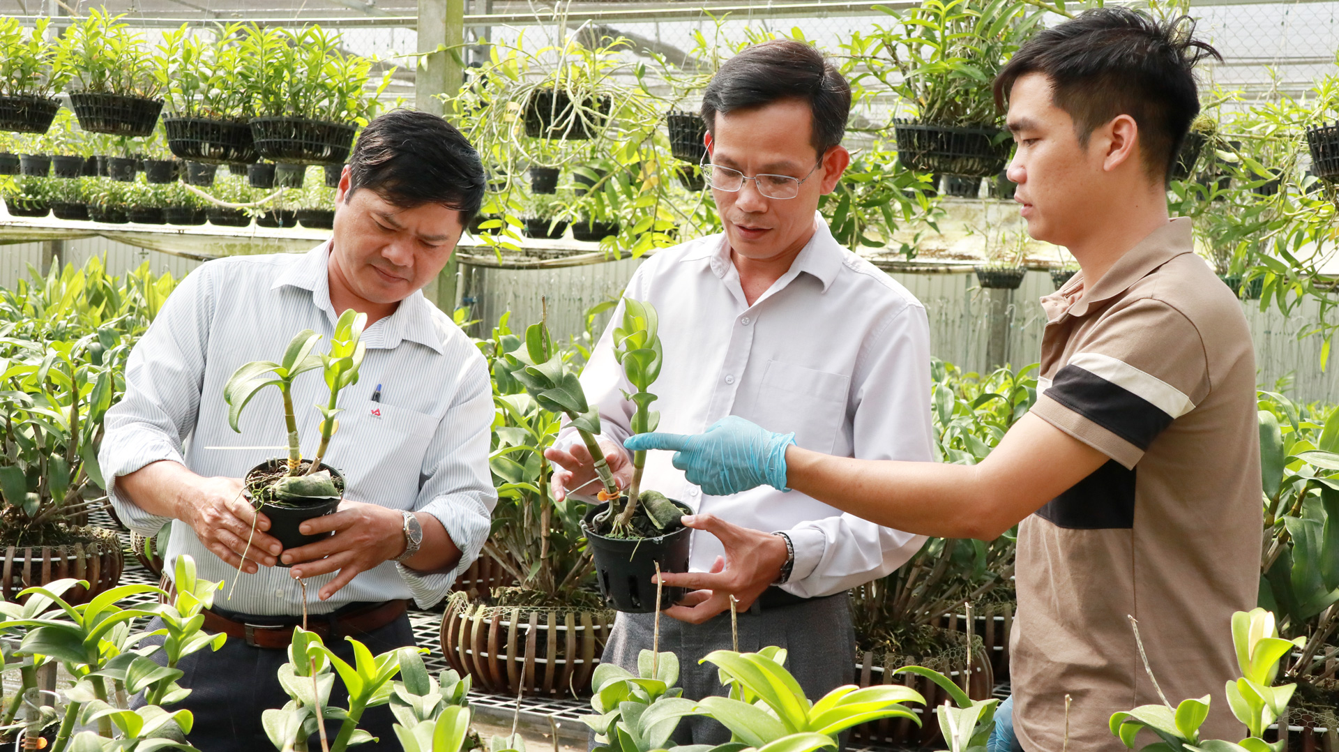 Nhân rộng các mô hình nông nghiệp ứng dụng công nghệ cao