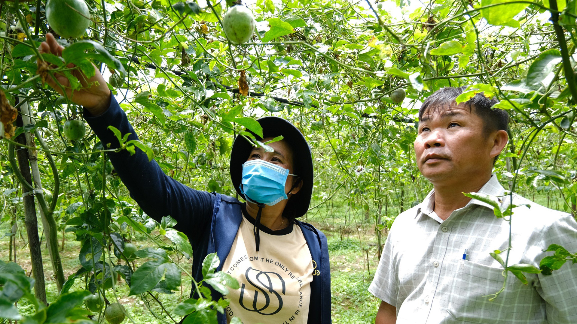Lâm Hà: Chú trọng phát triển đảng viên vùng đồng bào DTTS