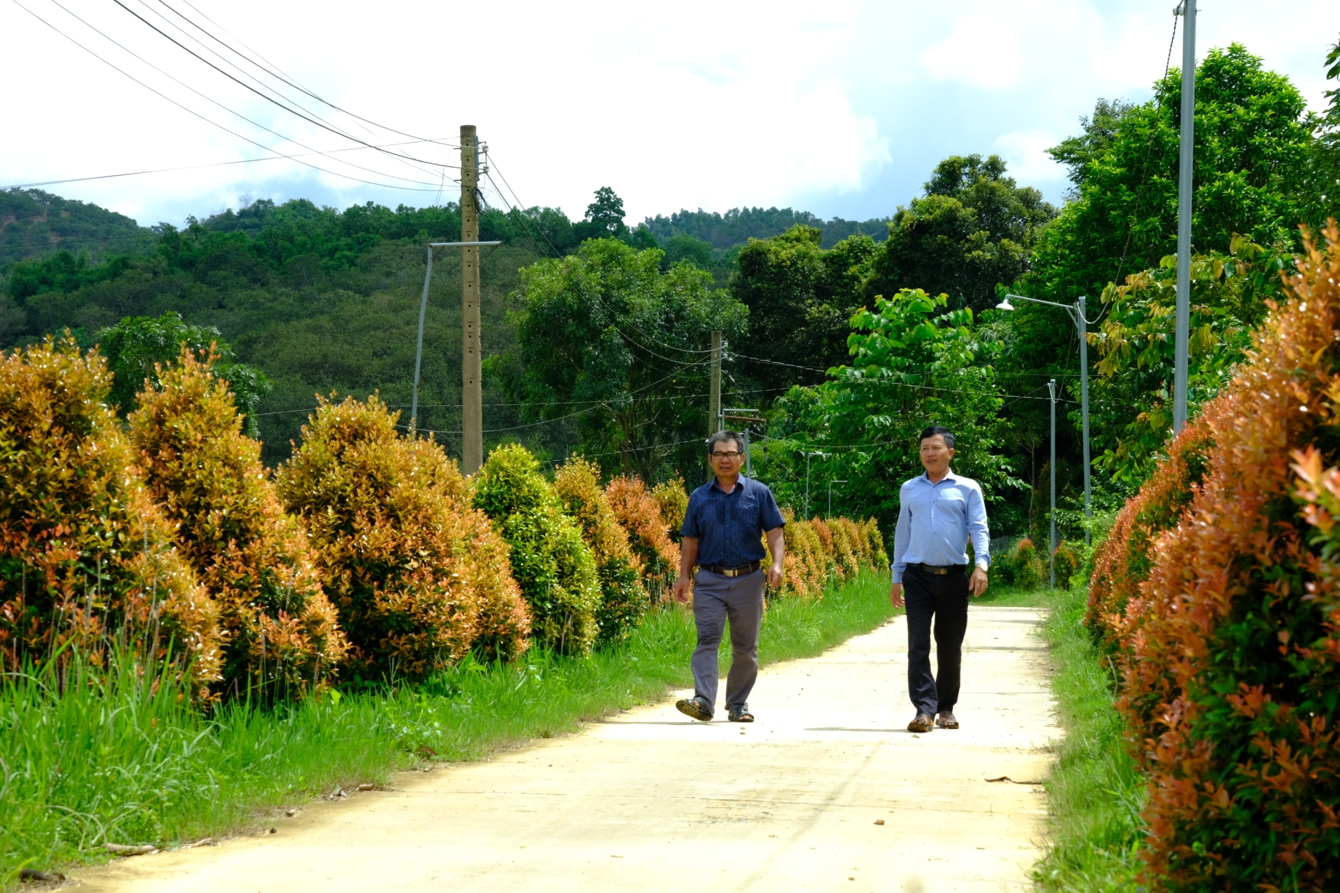 Những trăn trở phía sau danh hiệu nông thôn mới (Bài 3)