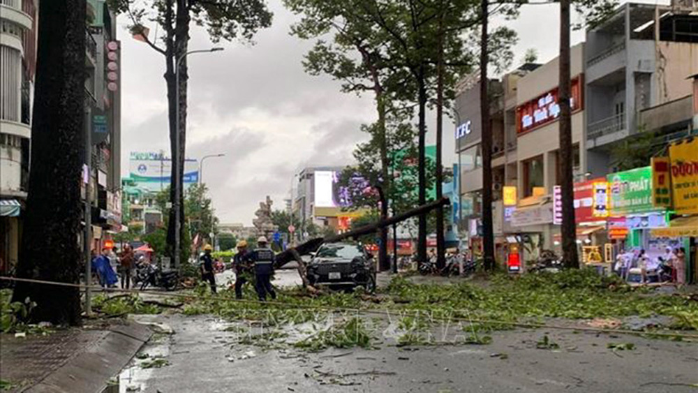 Thời tiết ngày 15/7: Nhiều nơi trên cả nước có mưa to