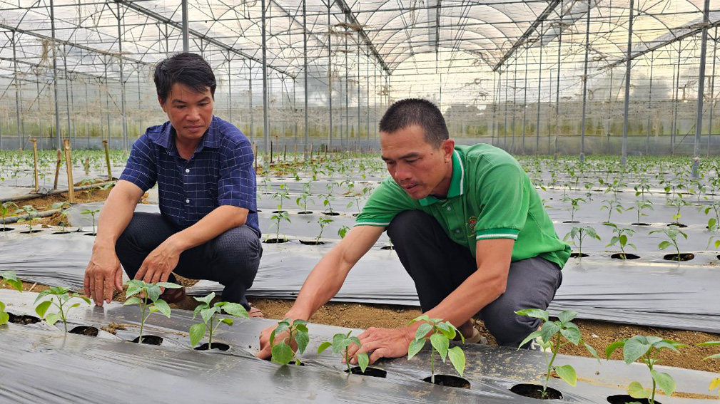 Hiệu quả từ chuyển đổi mô hình kinh tế ở Đam Rông