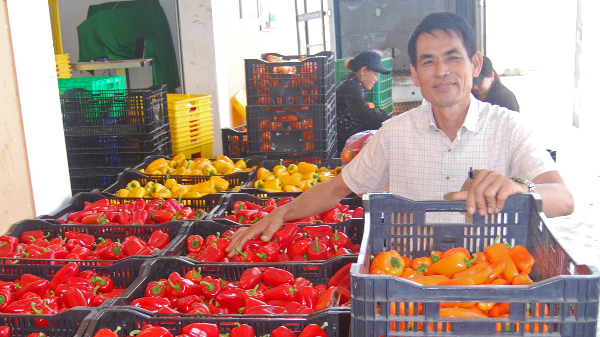 Cầu nối phát triển liên kết chuỗi