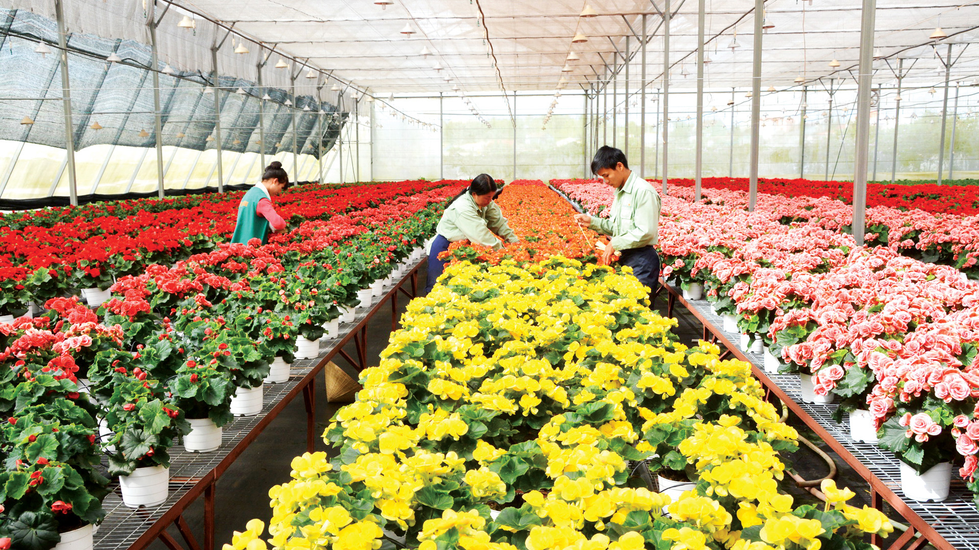 Tốc độ tăng trưởng GRDP của Lâm Đồng thấp nhất khu vực Tây Nguyên