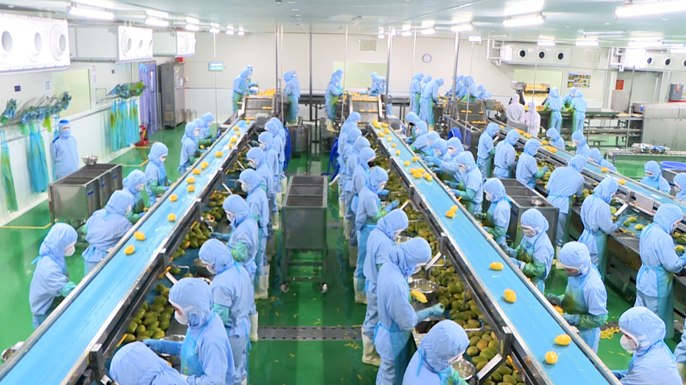 B'Laofood: Liên kết chặt chẽ với vùng đất cao nguyên