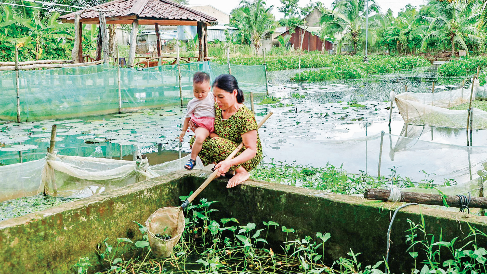 Động lực để phát triển nông nghiệp, nông thôn 