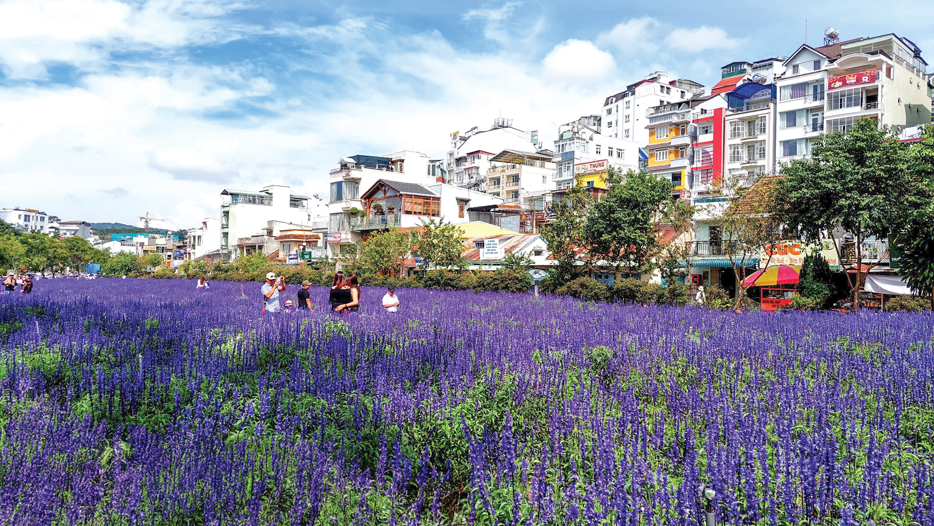 Đà Lạt: Bốn mùa thương