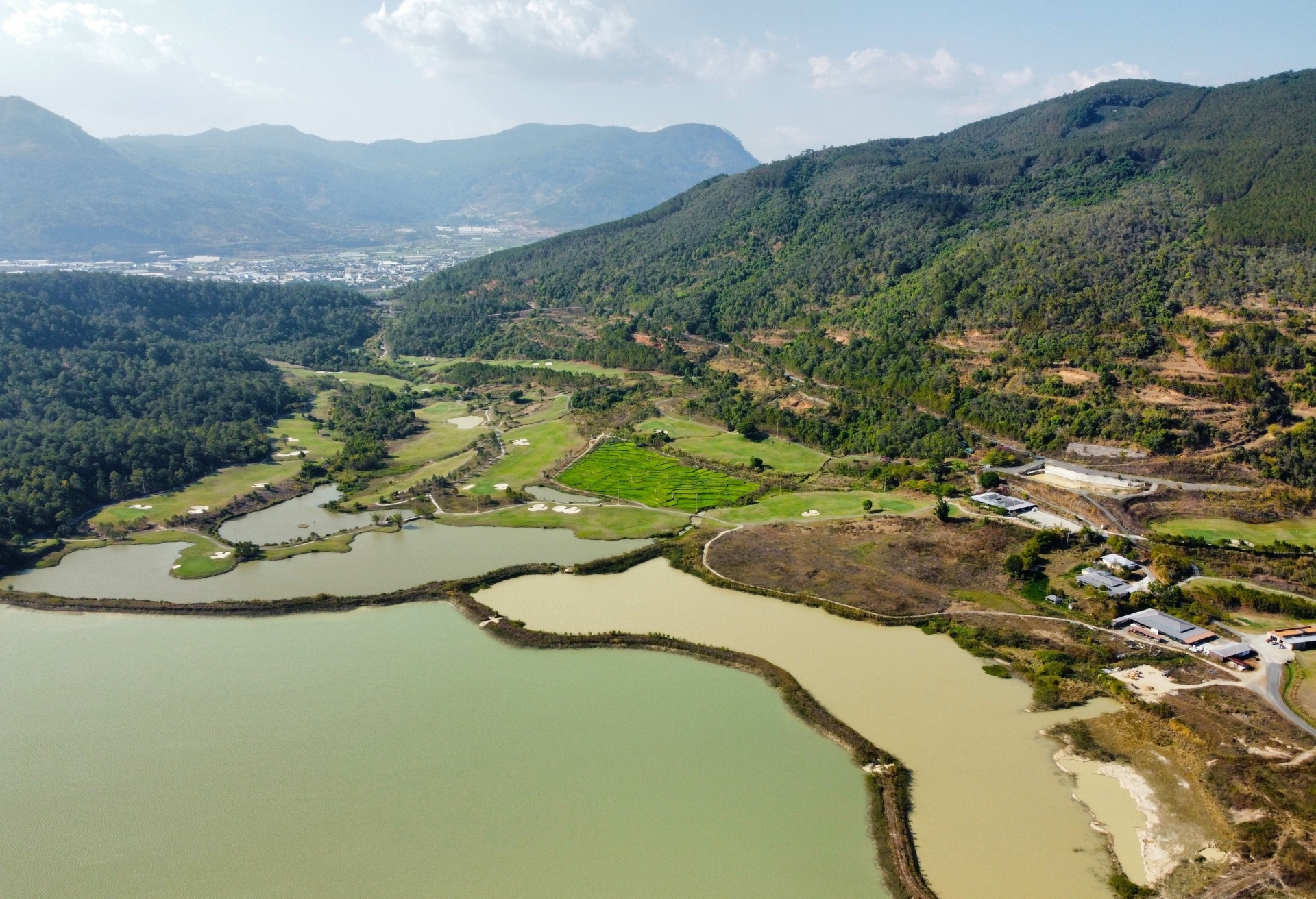 Chuyển hồ sơ vụ mất 37,5ha rừng sang cơ quan Công an