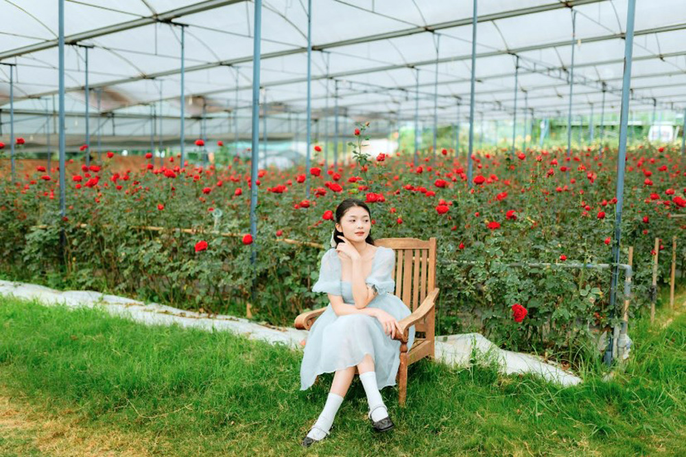 Trải nghiệm không gian cực nên thơ tại Thung Lũng Hồng