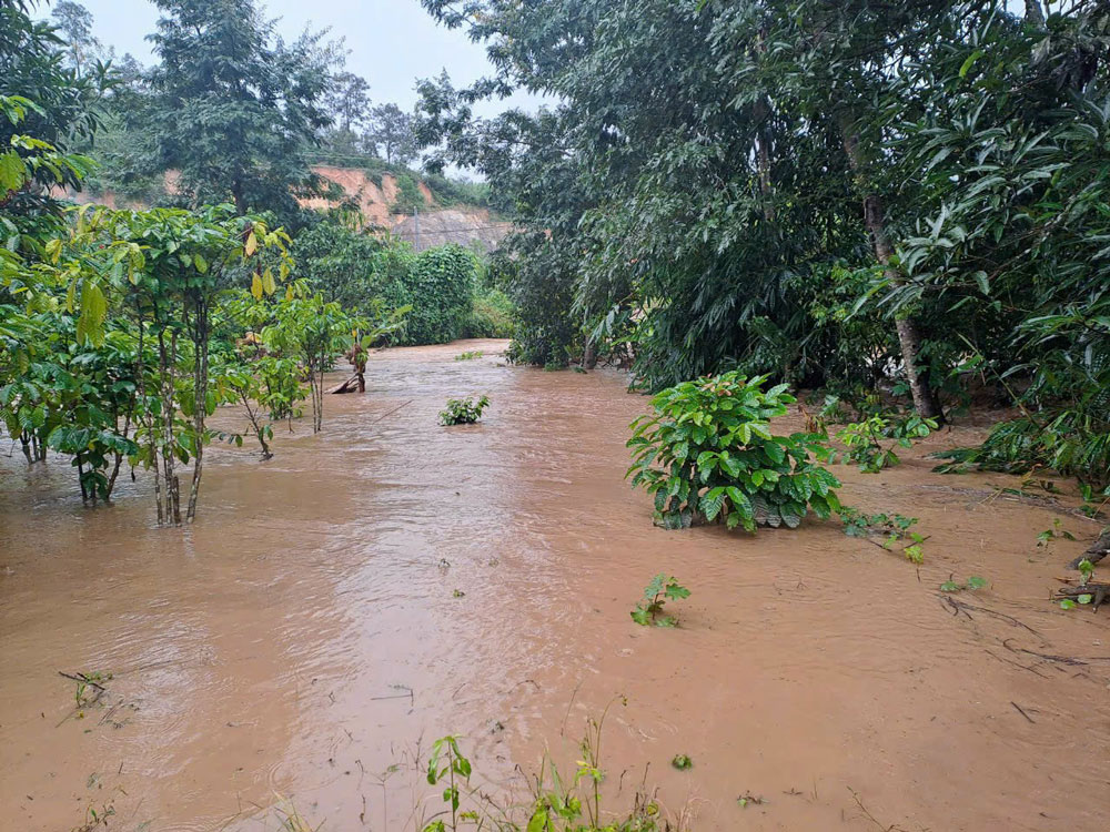 Thành lập Đoàn công tác liên ngành kiểm tra, đánh giá tình hình lũ, ngập lụt và sạt lở tại tỉnh Đắk Nông và Lâm Đồng