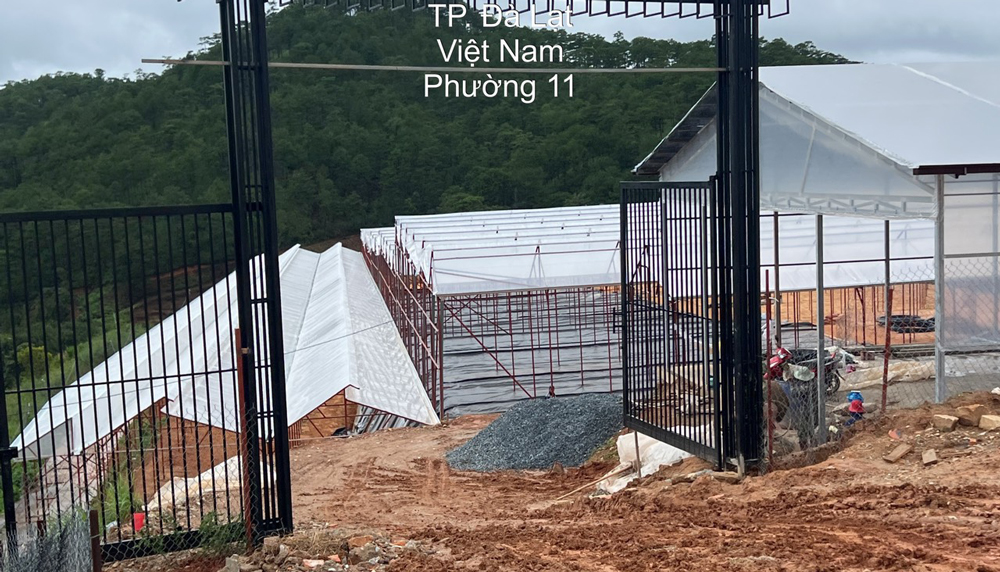 Đà Lạt: Khởi tố, bắt giam đối tượng thuê đất rồi rao bán trái luật