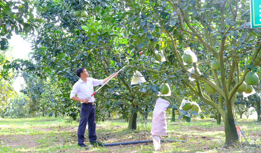 Cát Tiên: Đẩy mạnh xây dựng thôn nông thôn mới kiểu mẫu, thôn, khu dân cư thông minh