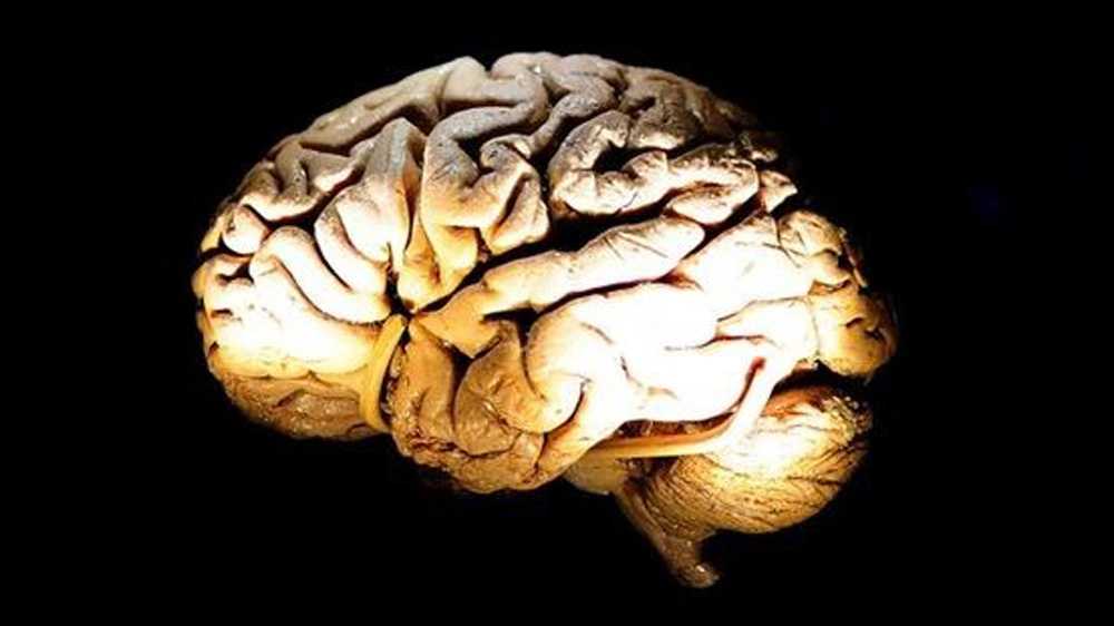 Hy vọng mới về phương pháp điều trị cho các bệnh nhân Alzheimer