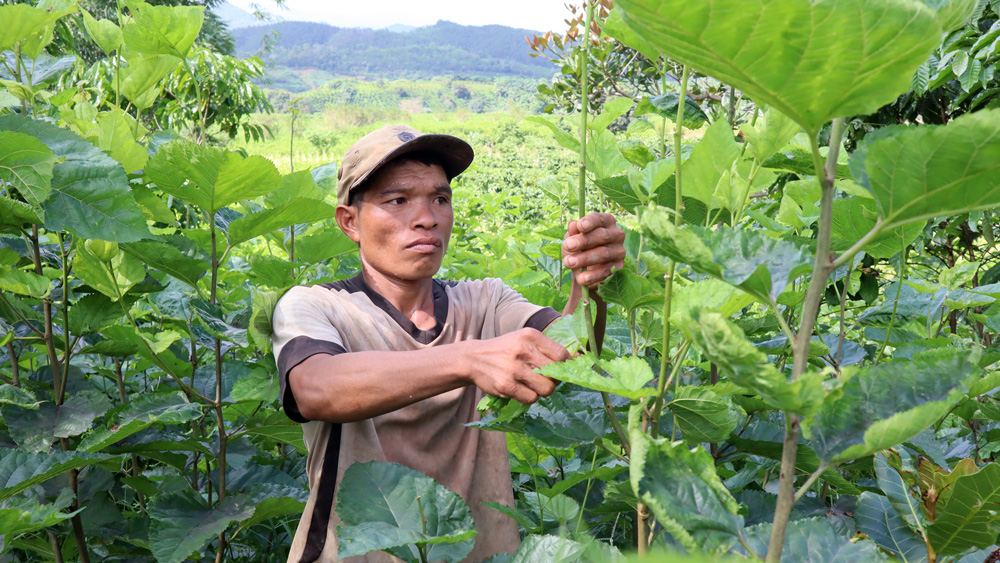 Trao ''cần câu'' cho người nghèo