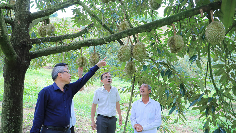 Đổi thay ở huyện nghèo nhất tỉnh