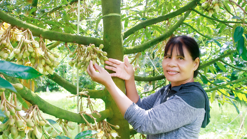 Ấn tượng nữ Bí thư chi bộ Ka Nhẹt