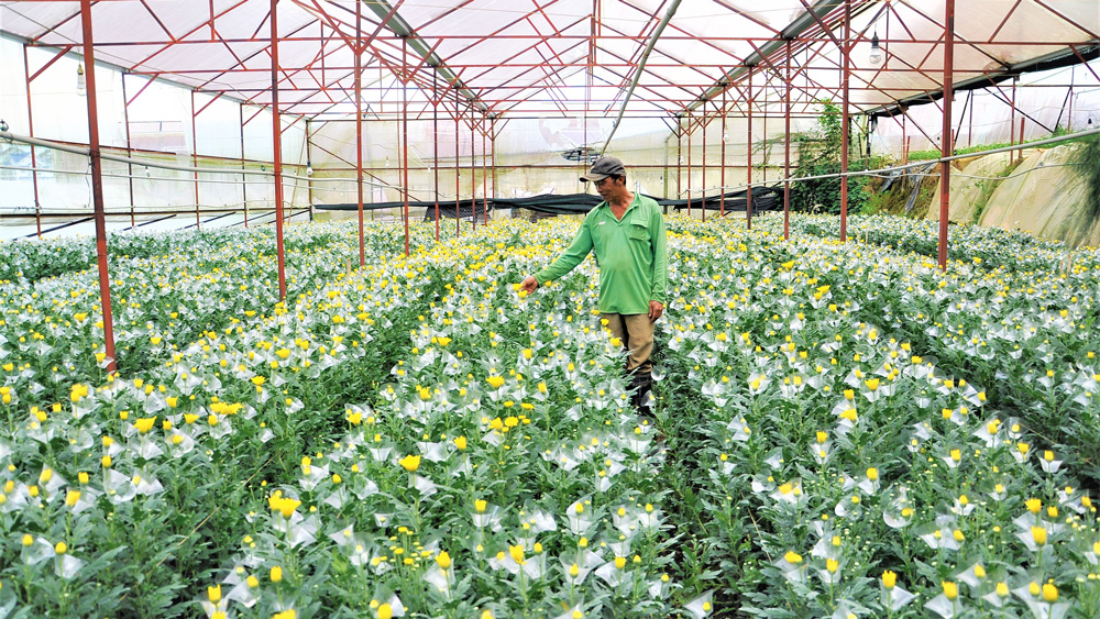 Quản lý chất thải trong nông nghiệp - những vấn đề đặt ra (Bài 1)