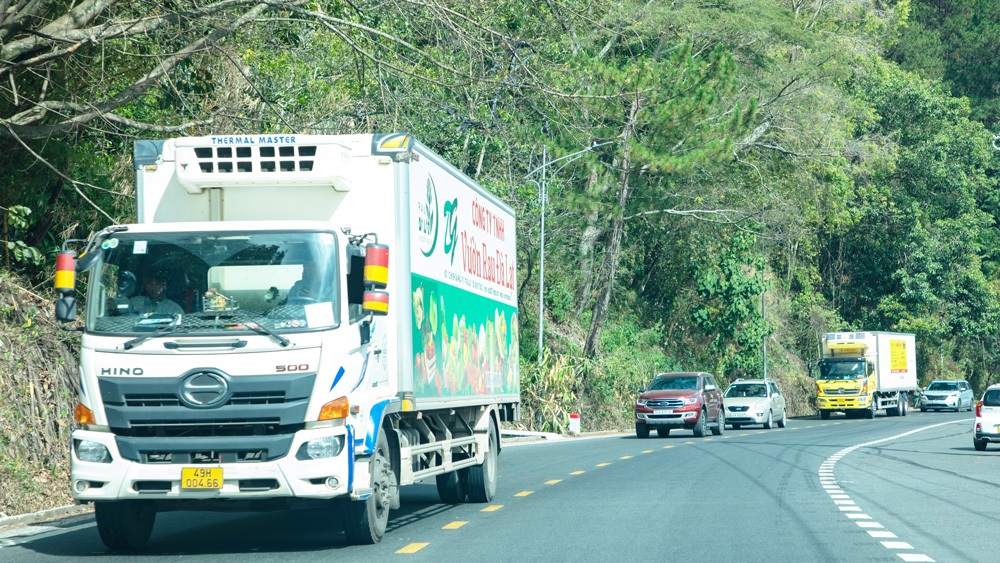 Ngành Giao thông với công tác đấu tranh chống buôn lậu, gian lận thương mại
