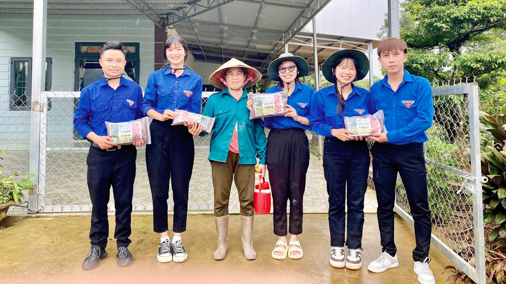 Dấu chân tình nguyện của tuổi trẻ Đại học Yersin Đà Lạt