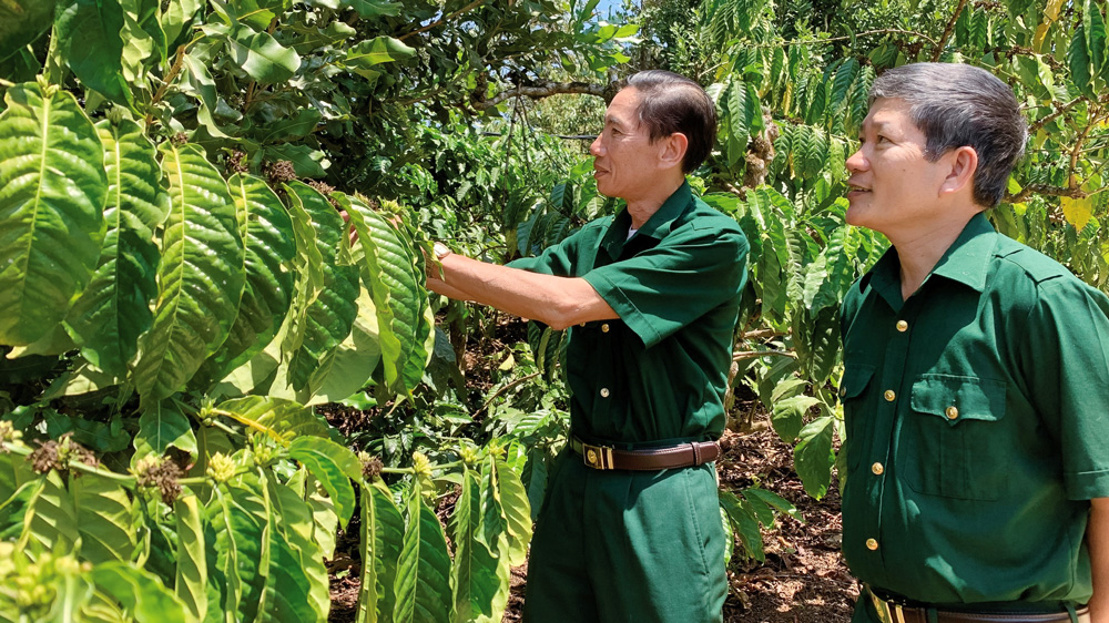 Cựu chiến binh Liên Hà giúp nhau làm kinh tế