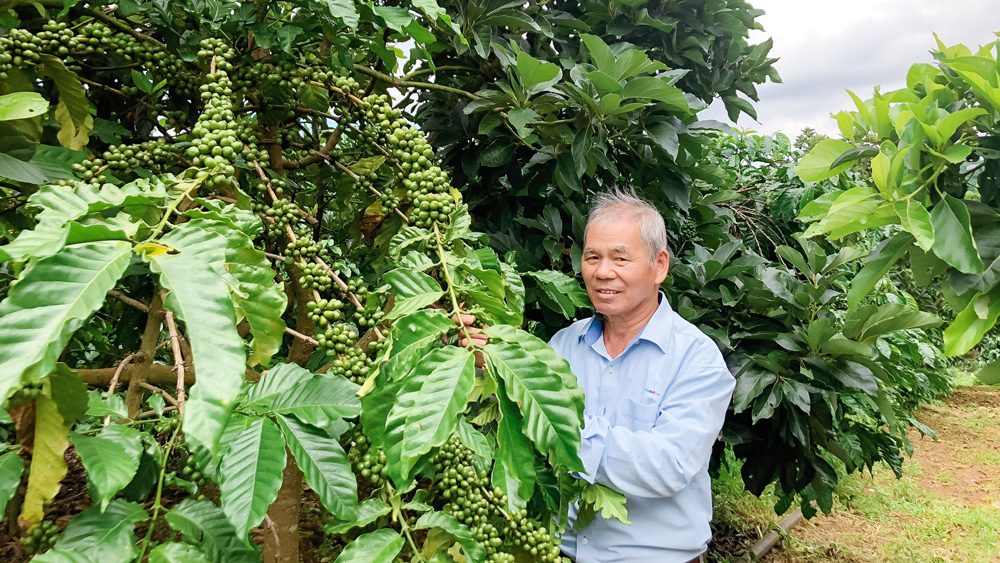 Cán bộ thôn làm kinh tế giỏi