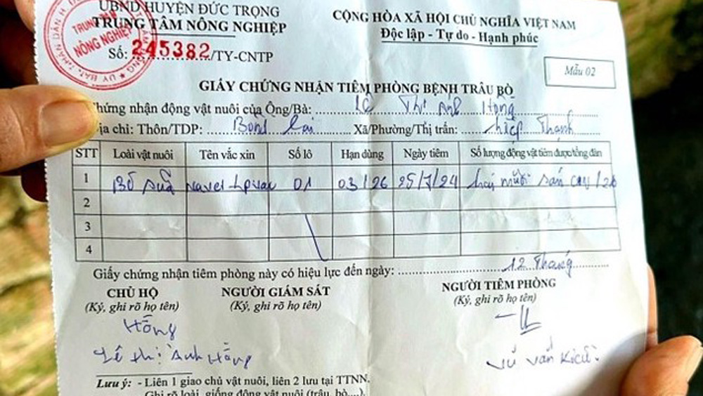 Nhà cung ứng vắc xin phòng bệnh viêm da nổi cục trên bò sữa nói gì?