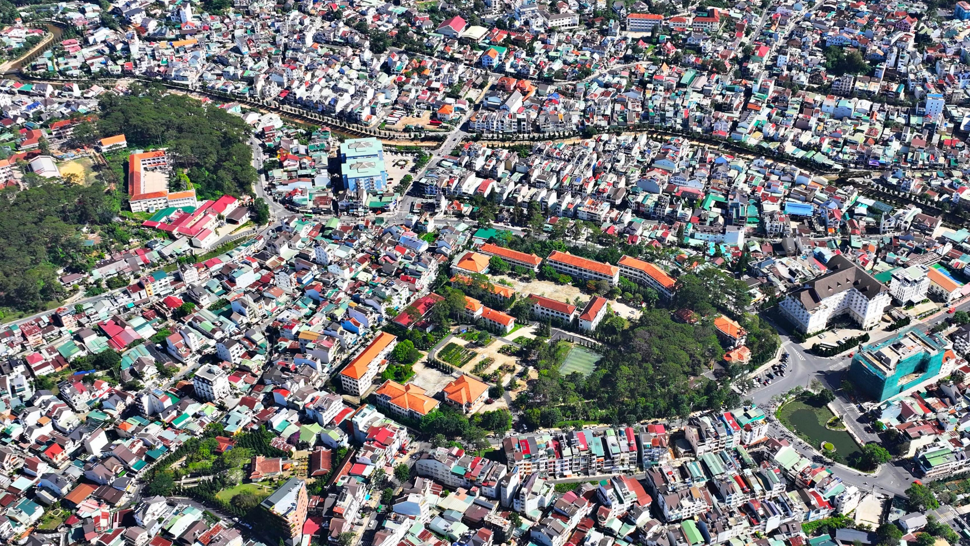 Đà Lạt: Đề xuất chặt hạ 108 cây thông ba lá để nâng cấp đường Hoàng Văn Thụ