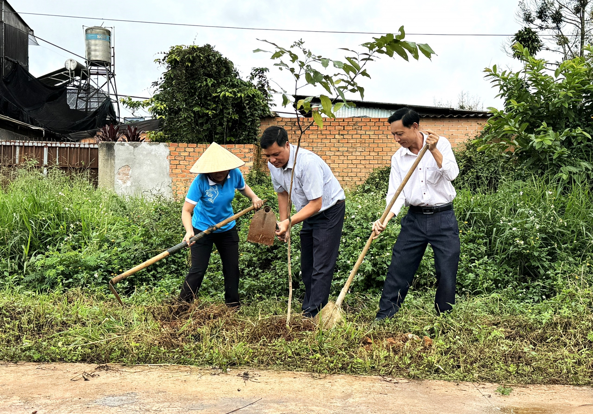 Phụ nữ Bảo Lộc ra quân trồng hơn 1.250 cây xanh