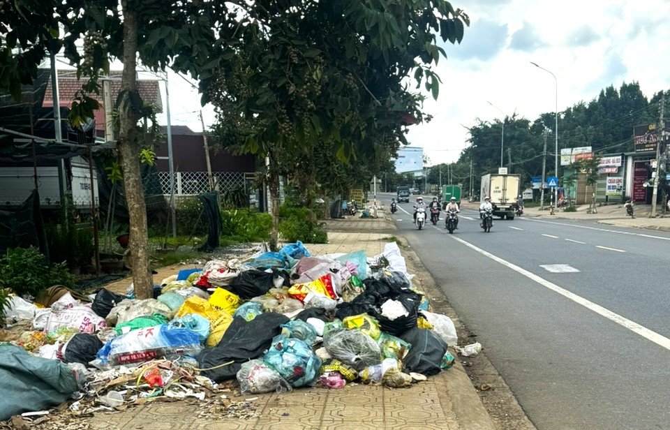 Bảo Lâm: Rác ứ đọng tràn lan do... xe chở rác bị hư