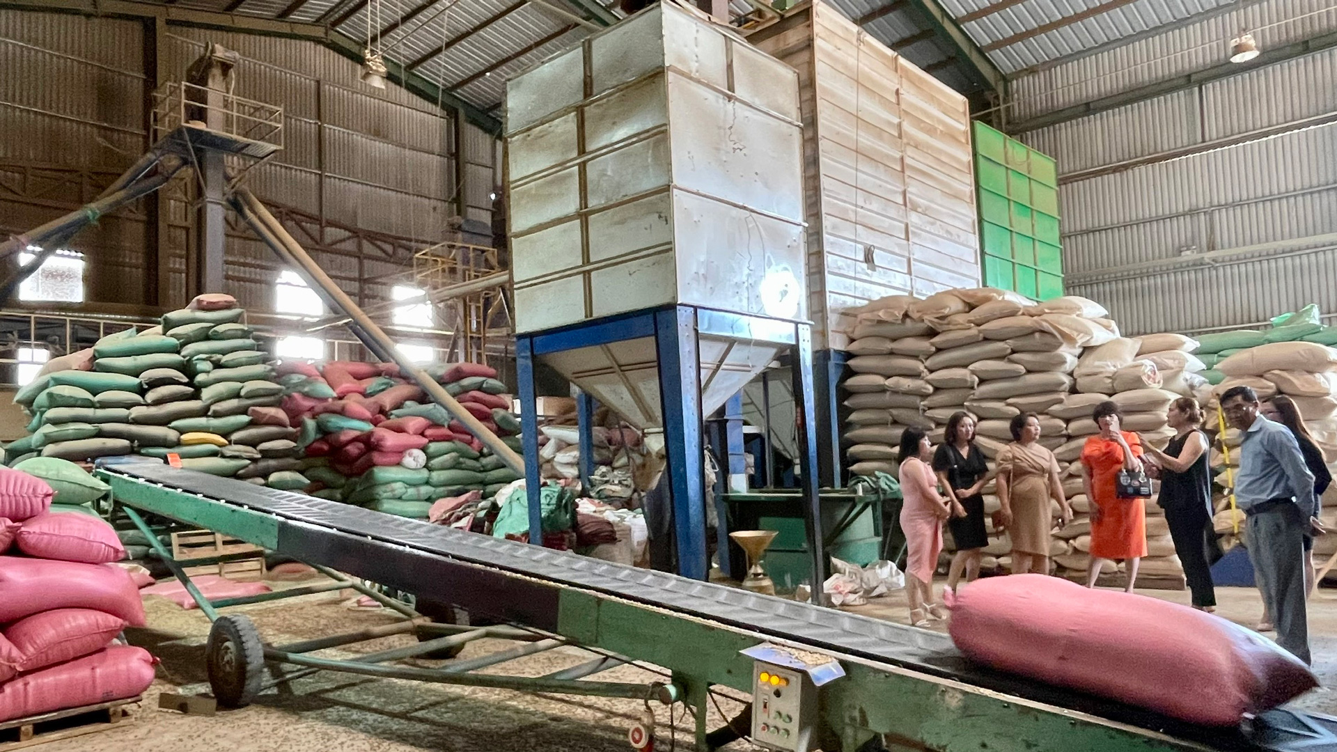 Chuyển đổi xanh thách thức của doanh nghiệp trong phát triển bền vững