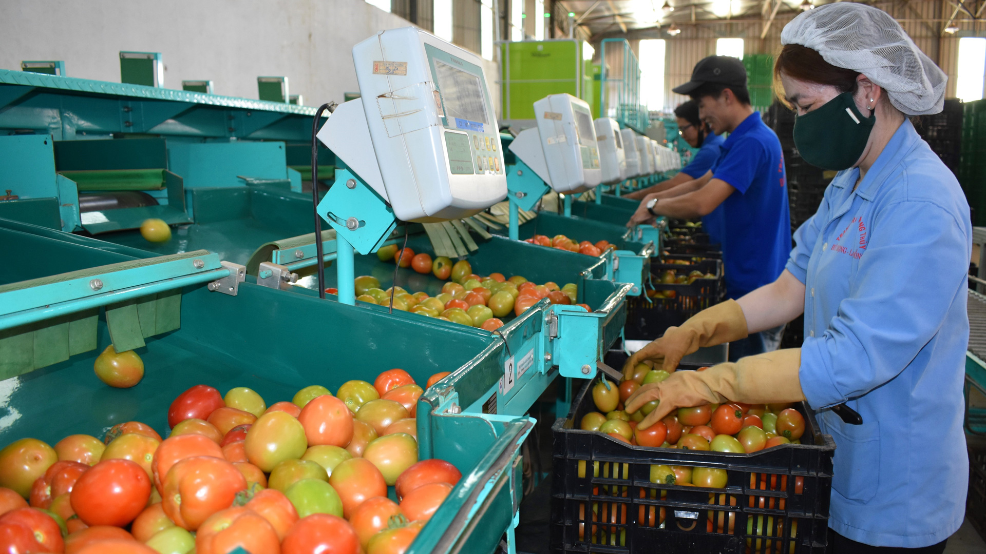 Phát triển thị trường logistics Lâm Đồng