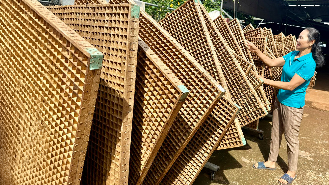 Hội viên phụ nữ năng động, làm kinh tế giỏi