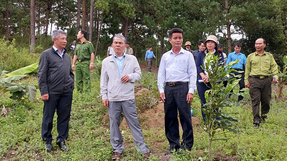 Lãnh đạo huyện Đức Trọng kiểm tra công tác giao khoán bảo vệ rừng