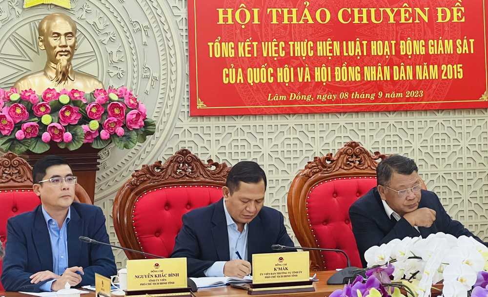 Tổng kết việc thực hiện Luật Hoạt động giám sát của Quốc hội và HĐND năm 2015