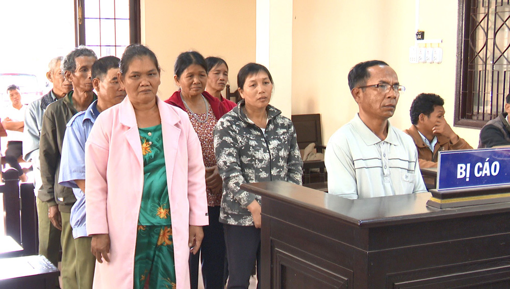 Bảo Lâm: 8 đối tượng huỷ hoại rừng lãnh án
