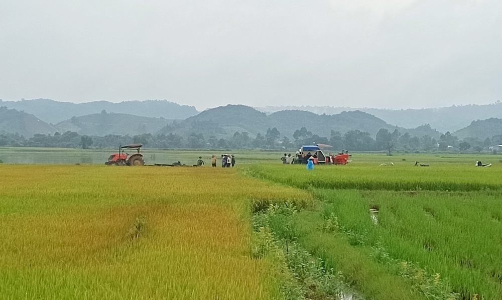 Thủy điện Đồng Nai 5 xả tràn, tổng lượng nước xuống hạ du ước đạt 487m3/s