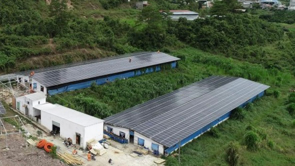 Tăng cường quản lý thuế đối với kinh doanh điện mặt trời