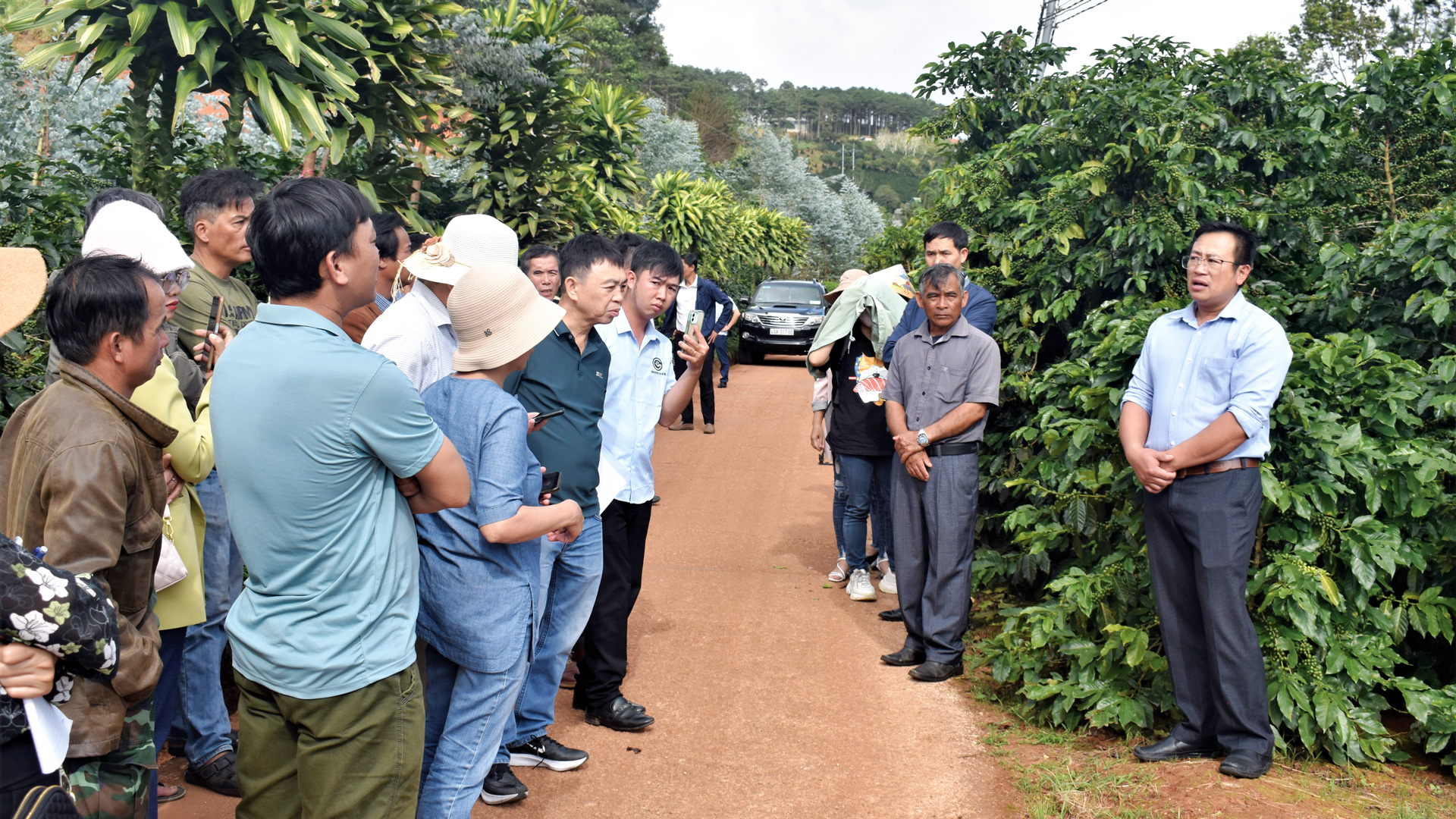 TÁC PHẨM DỰ THI VIẾT VỀ ĐỀ TÀI XÂY DỰNG NÔNG THÔN MỚI TỈNH LÂM ĐỒNG: Xây dựng chuỗi giá trị toàn cầu ở vùng nông thôn mới (Bài 1)