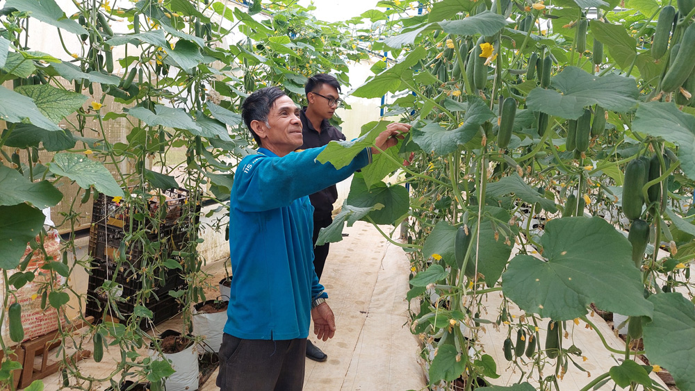 Chuyển đổi để làm giàu