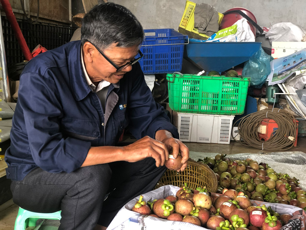 Truy xuất nguồn gốc măng cụt B’Lao