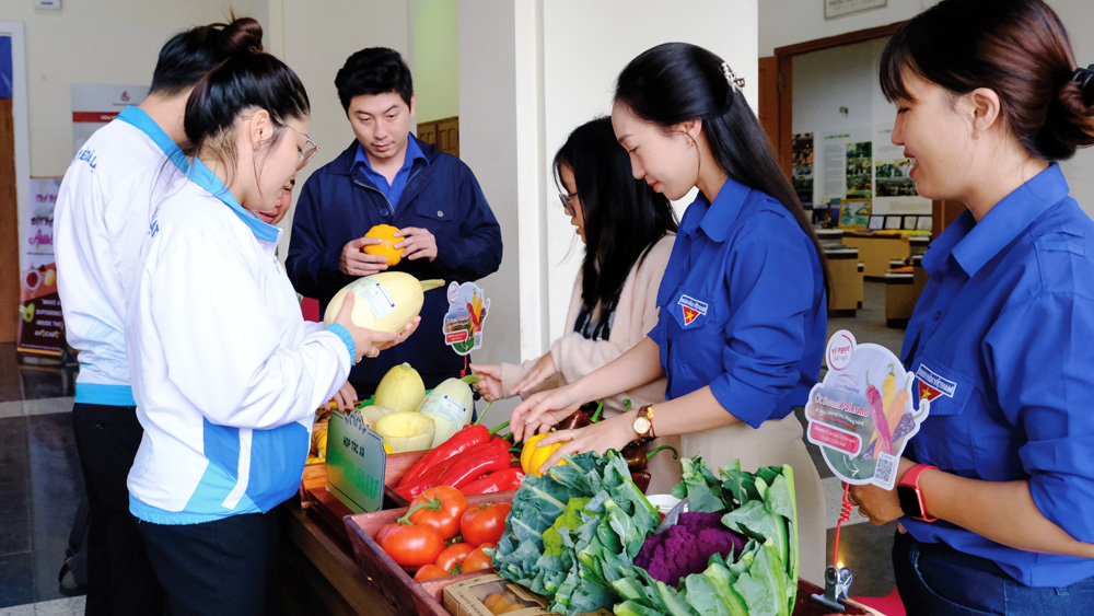Củng cố vai trò, vị trí của thanh niên trong thời kỳ mới