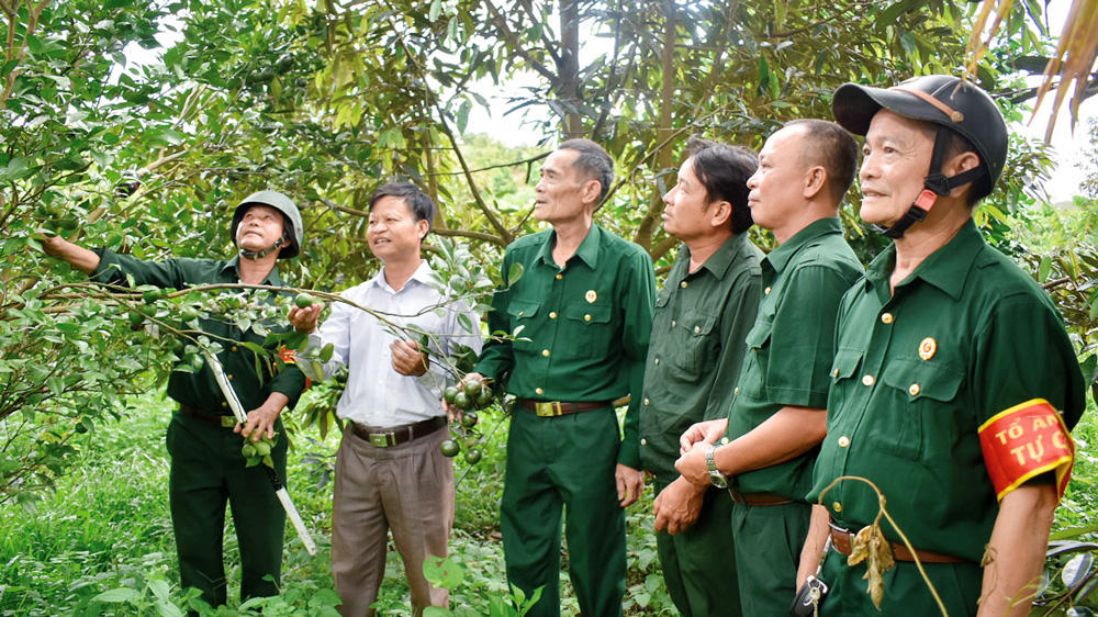 Khẳng định vai trò của cựu chiến binh trong giai đoạn cách mạng mới