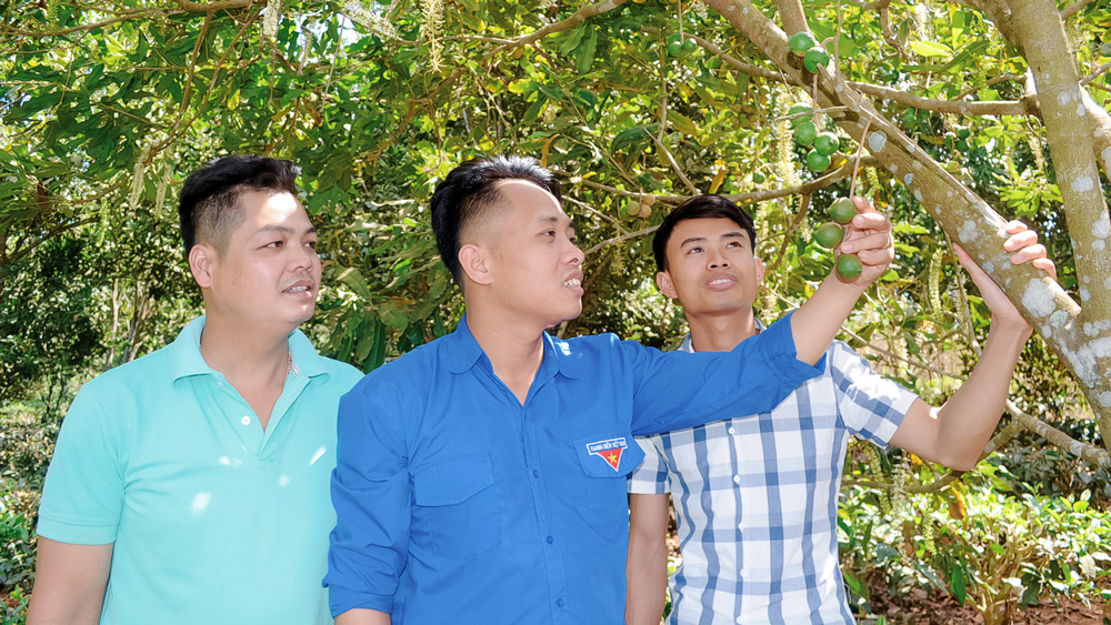 Phát huy vai trò của tuổi trẻ trong lập thân, lập nghiệp
