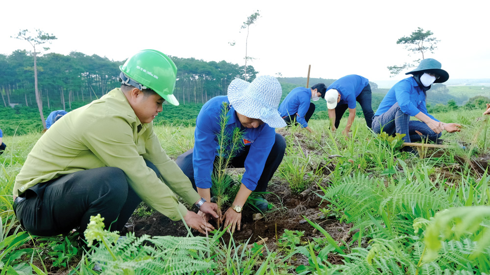 Bừng lên sức trẻ trong Chiến dịch Thanh niên tình nguyện hè