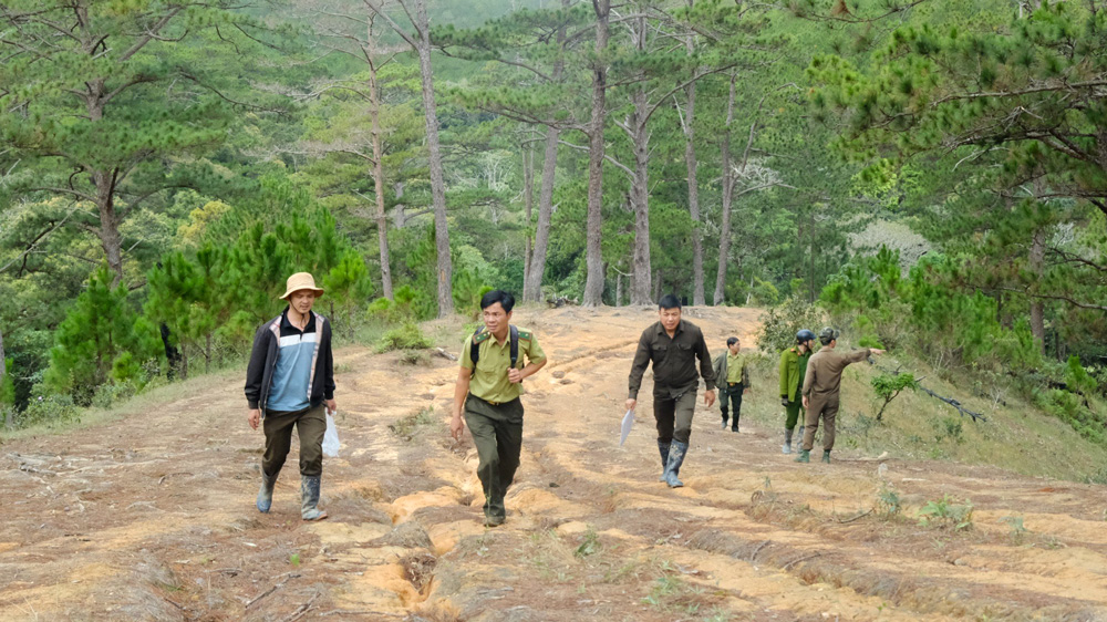 Bảo vệ rừng ở Đa Quyn
