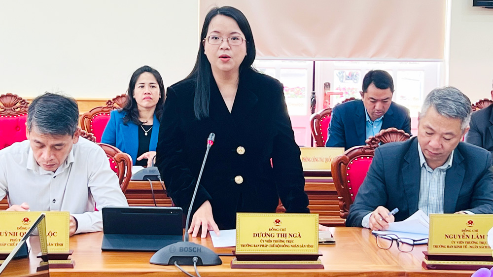 Làm tốt vai trò giám sát thực thi pháp luật