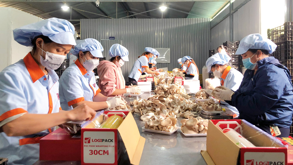 CHÀO MỪNG ĐẠI HỘI CÔNG ĐOÀN TỈNH LÂM ĐỒNG LẦN THỨ X, NHIỆM KỲ 2023-2028: Đưa Nghị quyết 02 của Bộ Chính trị vào cuộc sống