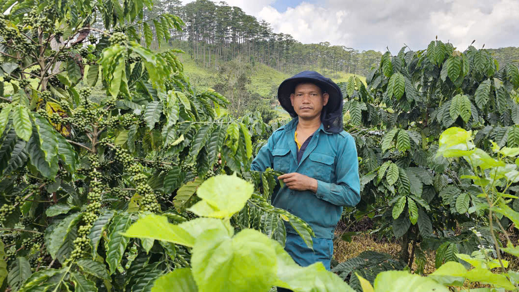 K’Nhất - người Trưởng thôn vượt khó làm kinh tế giỏi 